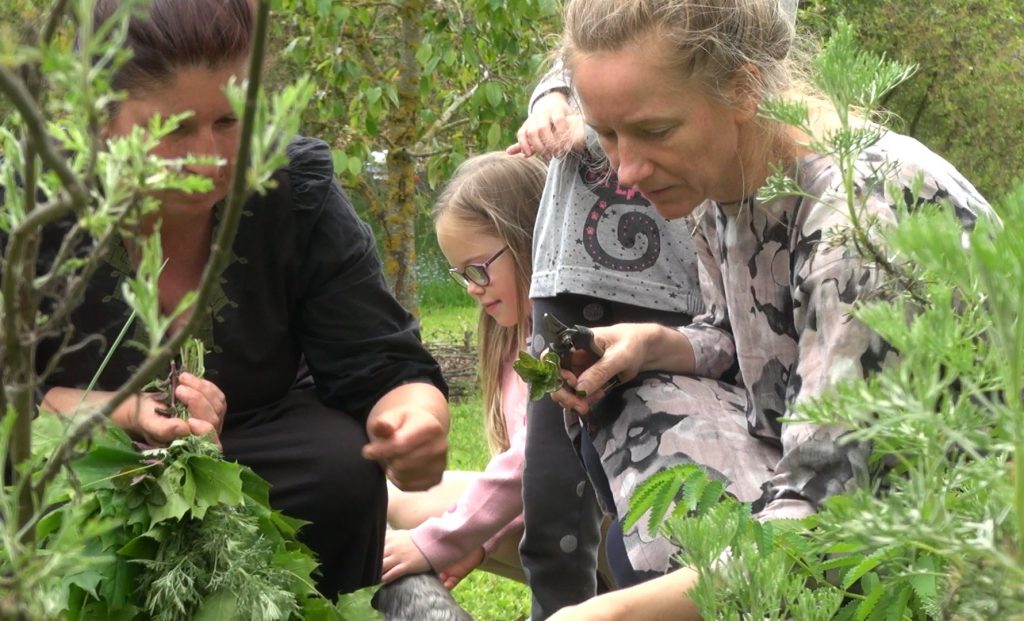 Augu vākšana pirtij